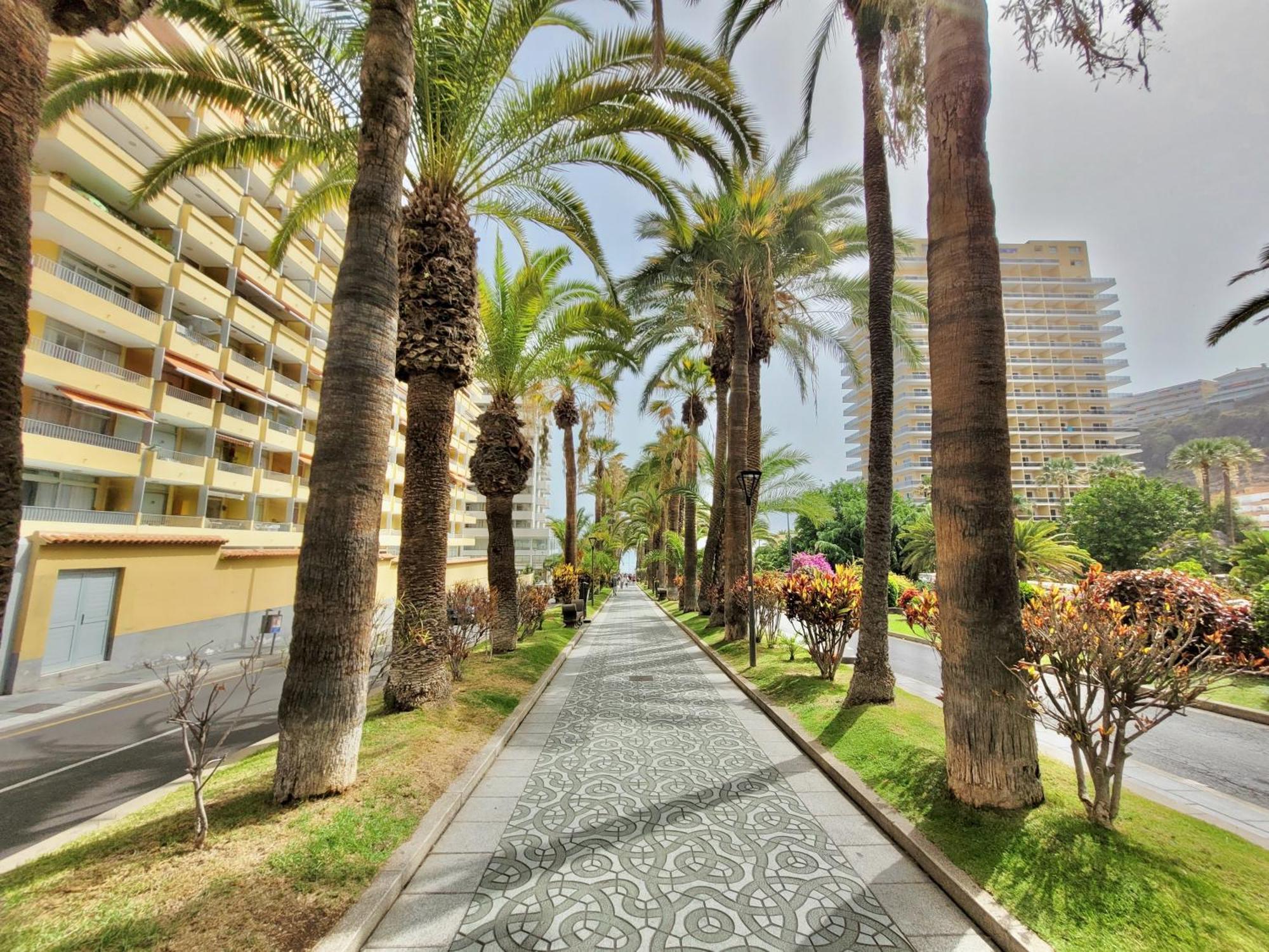 Alta Beachside Apartments プエルト・デ・ラ・クルス エクステリア 写真